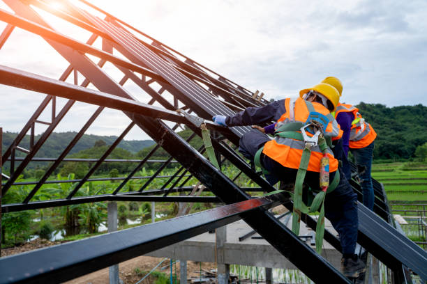 Best Storm Damage Roof Repair  in Newton Falls, OH