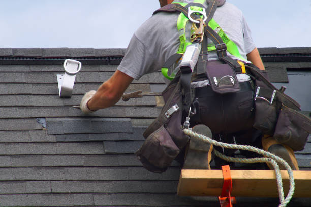 Best Residential Roof Replacement  in Newton Falls, OH