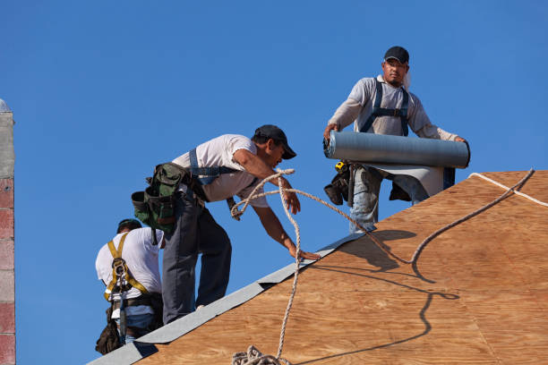 Best Flat Roof Repair Services  in Newton Falls, OH