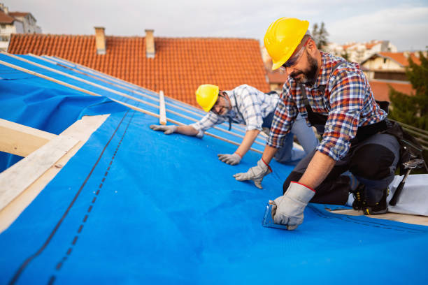 Best New Roof Installation  in Newton Falls, OH